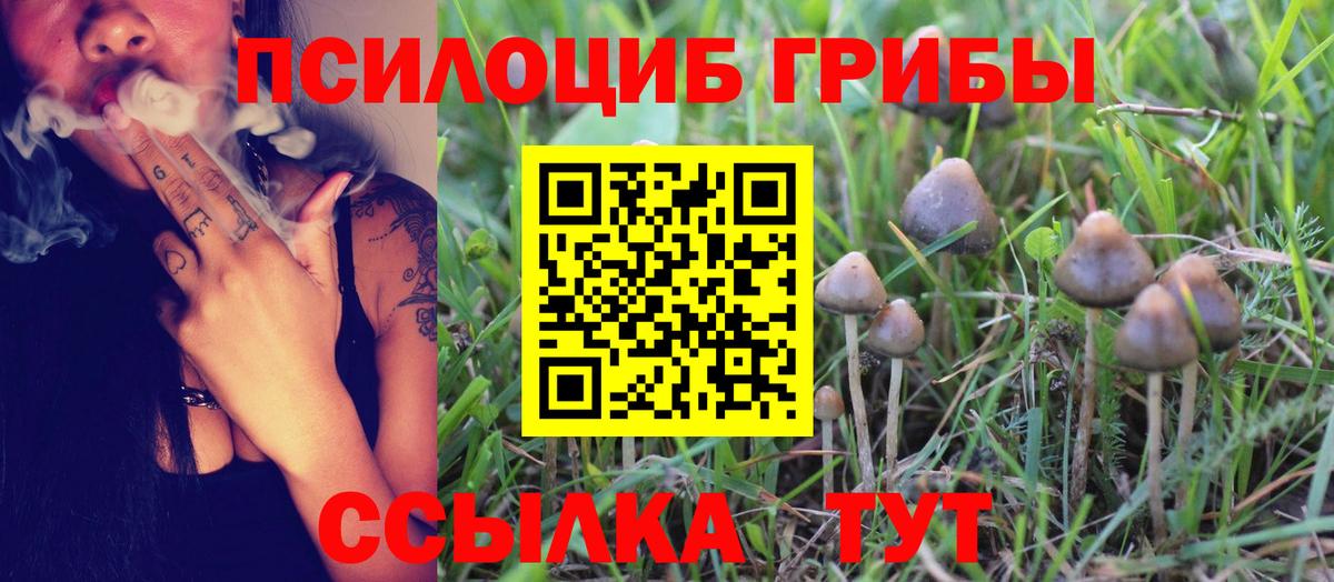 что такое наркотик  Галлюциногенные грибы Psilocybe  Алатырь  Галлюциногенные грибы Cubensis 