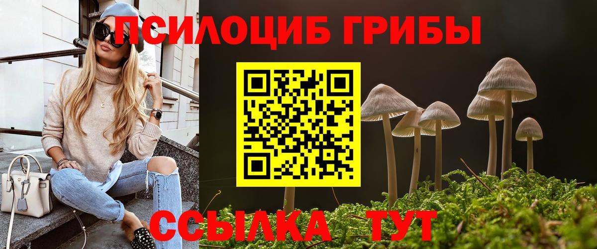 Галлюциногенные грибы Cubensis Алатырь