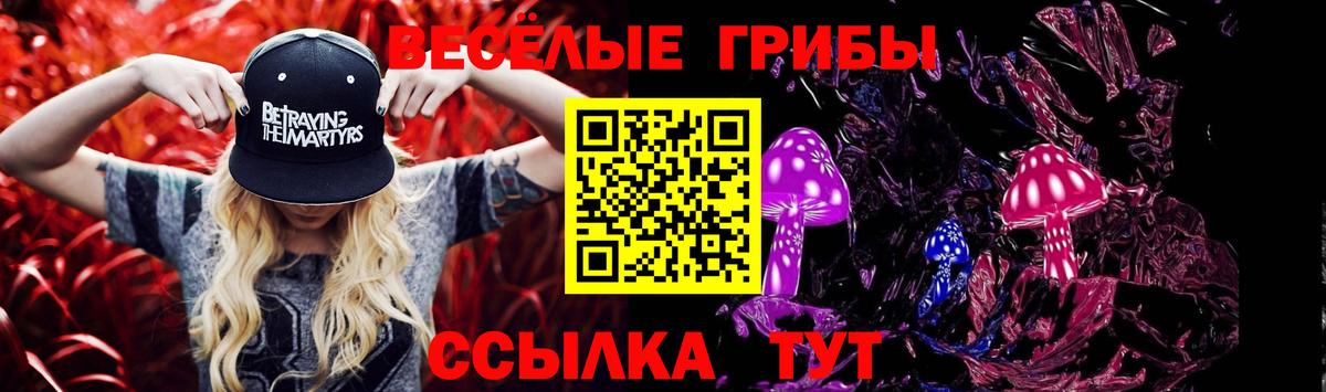 Псилоцибиновые грибы MAGIC MUSHROOMS Алатырь