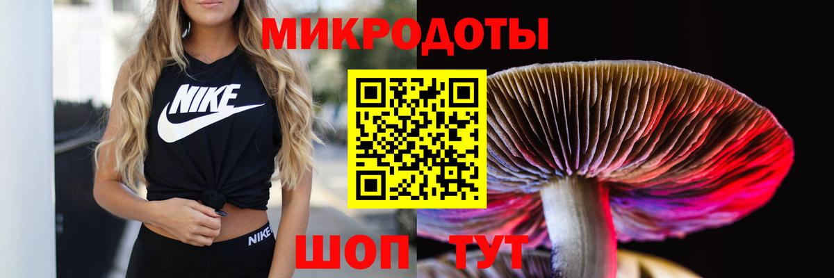 купить   Псилоцибиновые грибы Magic Shrooms  Вход с VPN  Алатырь  Псилоцибиновые грибы Magic Shrooms 